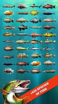 Let's Fish: Sport Fishing Games. Fishing Simulator APK indir [v4.5.1]